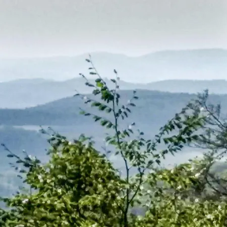 30 In Holiday home *